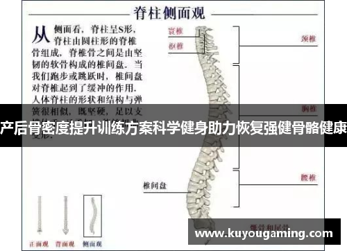产后骨密度提升训练方案科学健身助力恢复强健骨骼健康